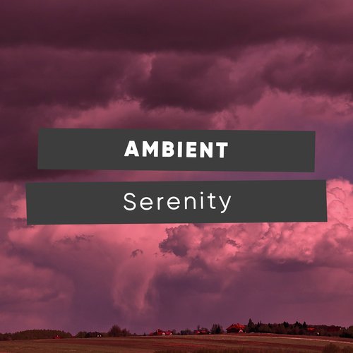 Mother Nature Sound FX Rain Sounds cover art