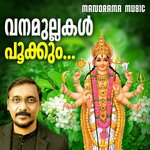 Amme Devi Neerettukavilamme (Vanamullakal)