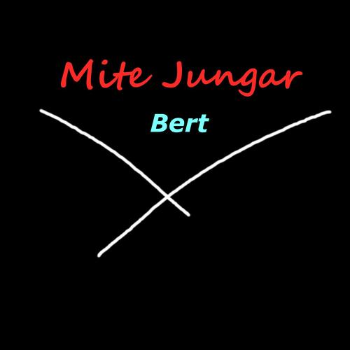 Bert (Flipped Mix) cover art