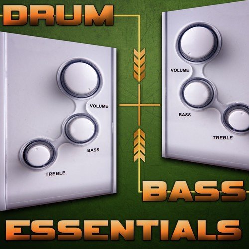 Drum & Bass Essentials 2013