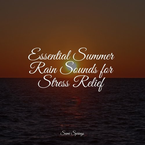 Essential Summer Rain Sounds for Stress Relief_poster_image