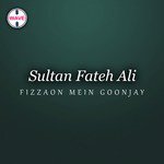 Fizzaon Mein Goonjay