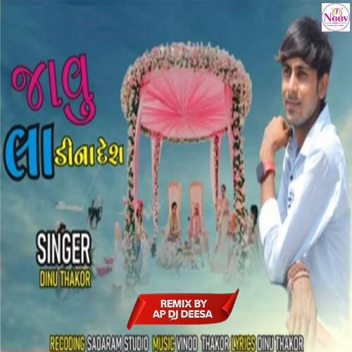 Javu Ladi Na Desh DJ Remix