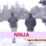 Just A Little Bit Ninj