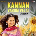 Kannan Varum Velai lofi remix