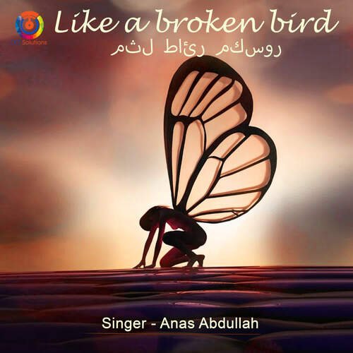 Like A Broken Bird