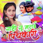 Nahi Nu Satai Pichkari (Bhojpuri)