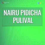 Nairu Pidicha Pulival