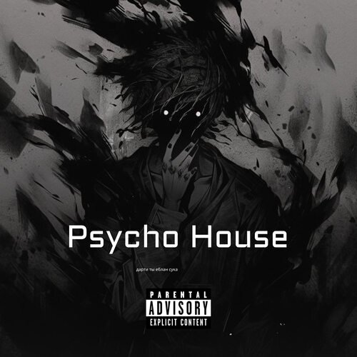 Psycho House_poster_image