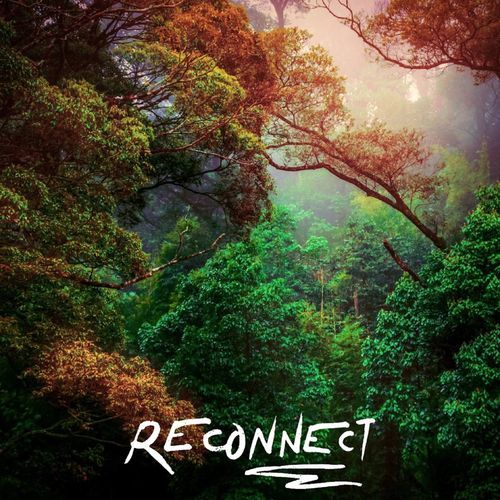 Reconnect