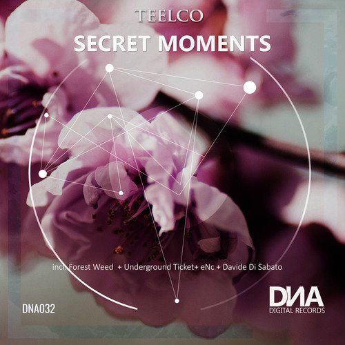 Secret Moments_poster_image