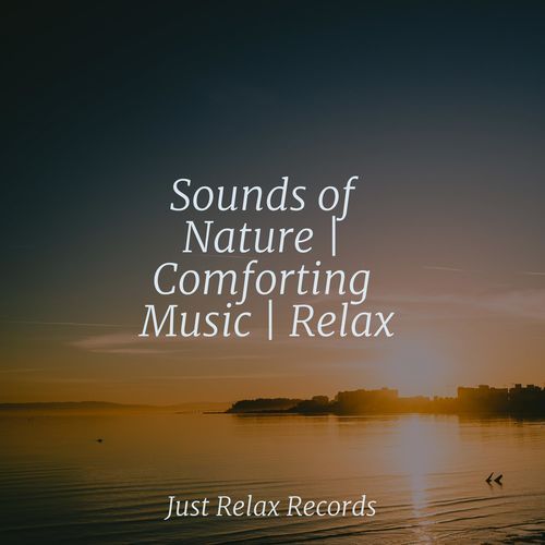 Sounds of Nature | Comforting Music | Relax