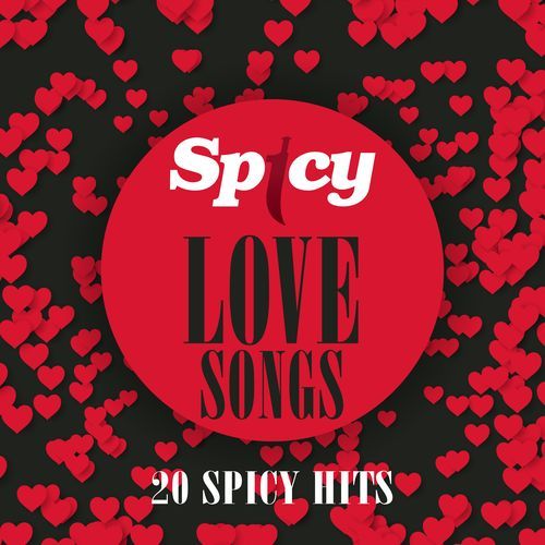Spicy Love Songs (20 Spicy Hits)