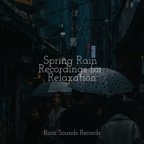 Spring Rain Recordings for Relaxation