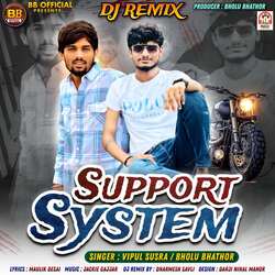 Support System (DJ Remix)-EysyZzN2W3Y