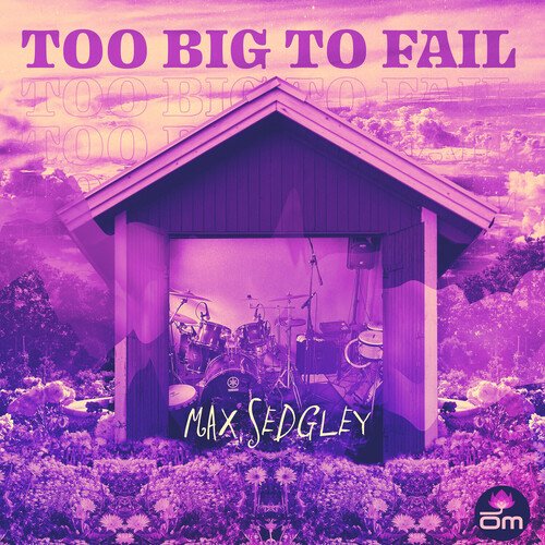 Too Big to Fail_poster_image