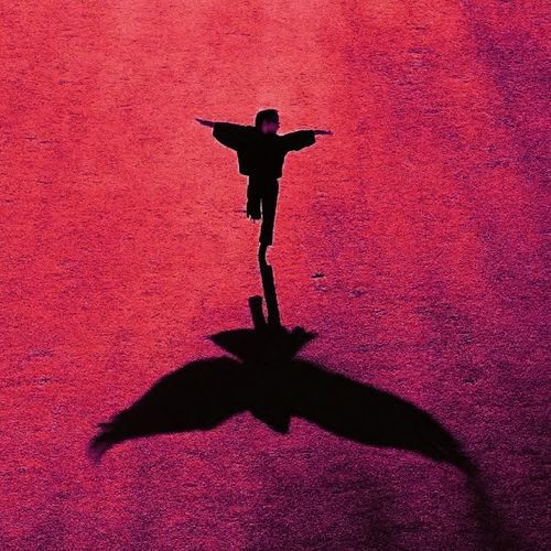 We Own The Night ( Slowed )
