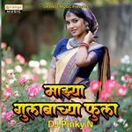 kiti mag tuzya lagav kiti ratila jagav insta DJ Pinky N