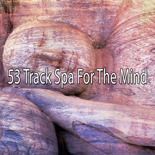 53 Track Spa For The Mind