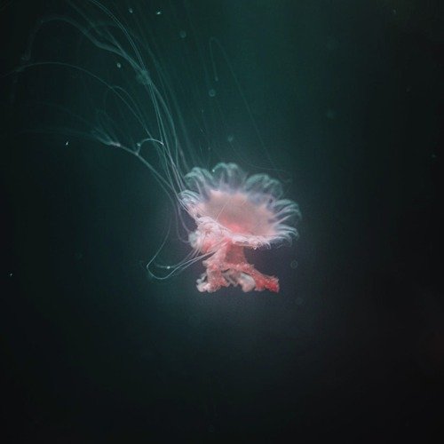 AVTAR cover art