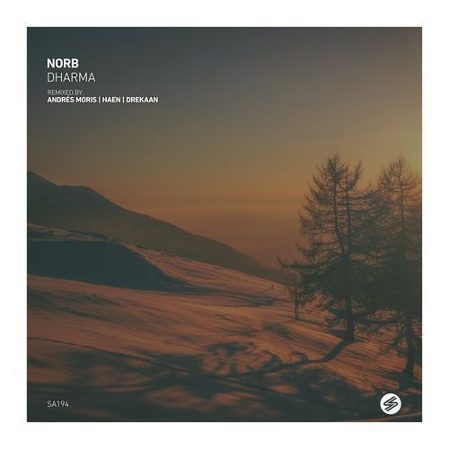 Ananda (Drekaan Remix) cover art
