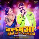 Balaamua Hero Se Kam Naikhe