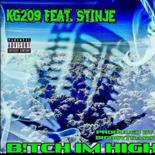 Bitch Im High cover art