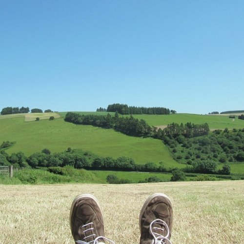 Blue Sky Blue cover art