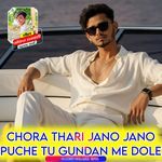 Chora Thari Jano Jano Puche Tu Gundan Me Dole