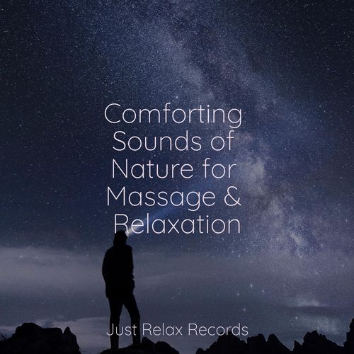 Comforting Sounds of Nature for Massage & Relaxation