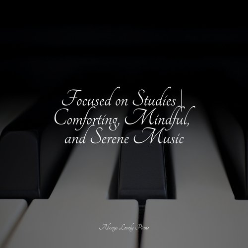 Focused on Studies | Comforting, Mindful, and Serene Music