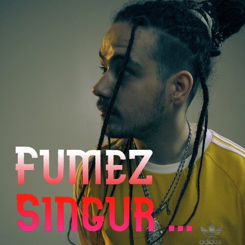 Fumez singur_poster_image