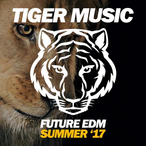 Future EDM (Summer '17)