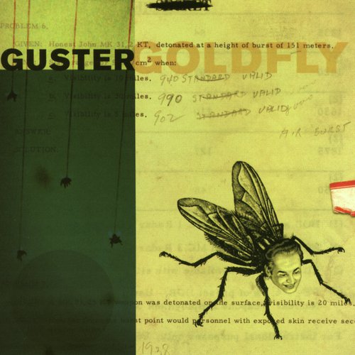 Goldfly (CD and Digital Album)_poster_image