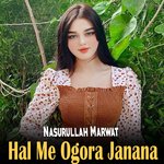 Hal Me Ogora Janana