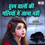 Hushn Walon Ki Galiyon Main Jana Nahi