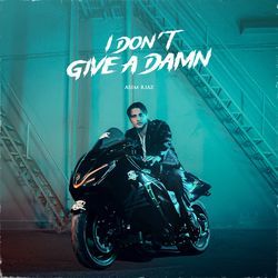 I Don't Give A Damn