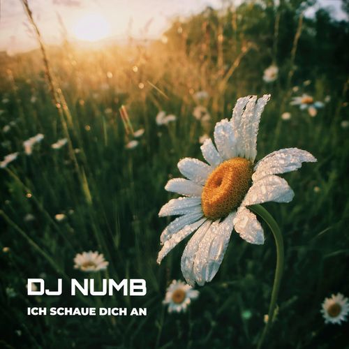 Ich schaue dich an