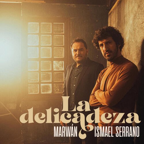 La Delicadeza_poster_image