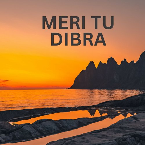 MERI TU DIBRA