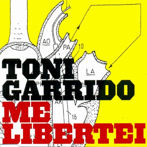 Me Libertei_poster_image