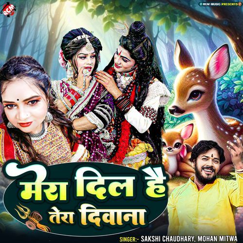 Mera Dil Hain Tera Deewana