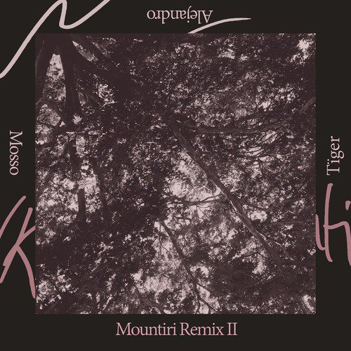 Lenmana (Rey&Kjavik's Tïger Remix) cover art