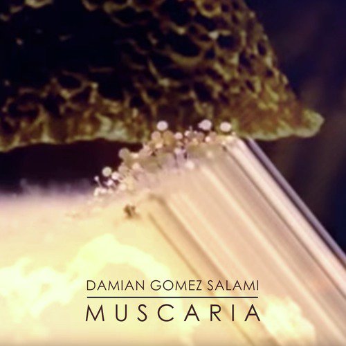 Cautivó la Brisa cover art