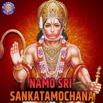 Namo Sri Sankatamochana