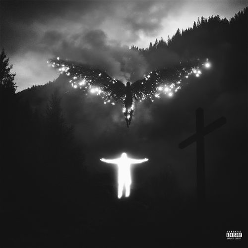Robin cover art