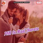 Gaila Bideshwa Saiyaan