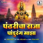 Pandharicha Raja Pandurang Maza