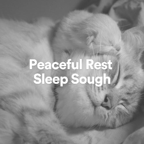 Peaceful Rest Sleep Sough_poster_image