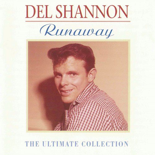 Del shannon перевод